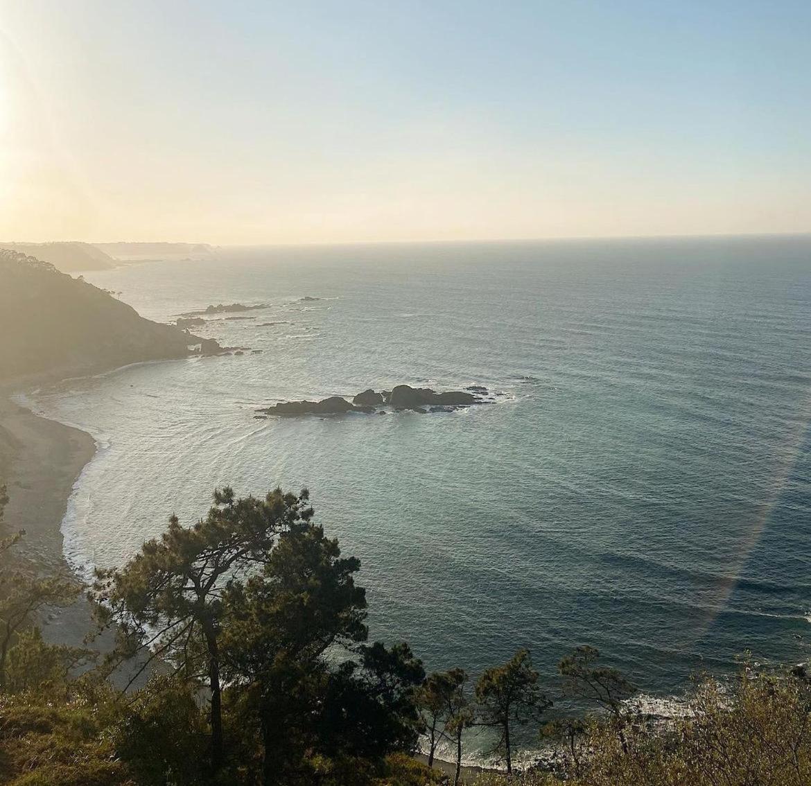 Olea & Multidisciplinary Space * Piedras Blancas
